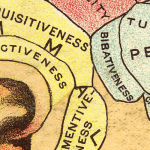 A cropped image of a phrenology chart, in colour, with delineated areas including “Destructiveness”, “Secretiveness”, and “Bibativeness”.